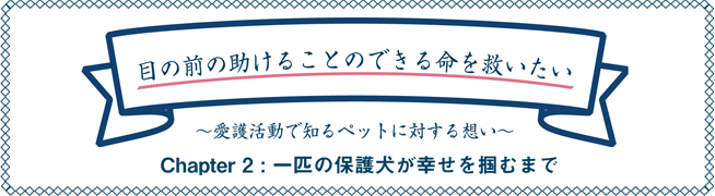 目の前の助けることのできる命を救いたい ～愛護活動で知るペットに対する想い～