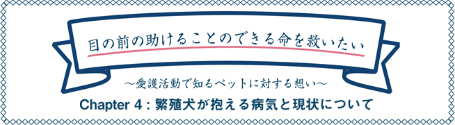 目の前の助けることのできる命を救いたい ～愛護活動で知るペットに対する想い～